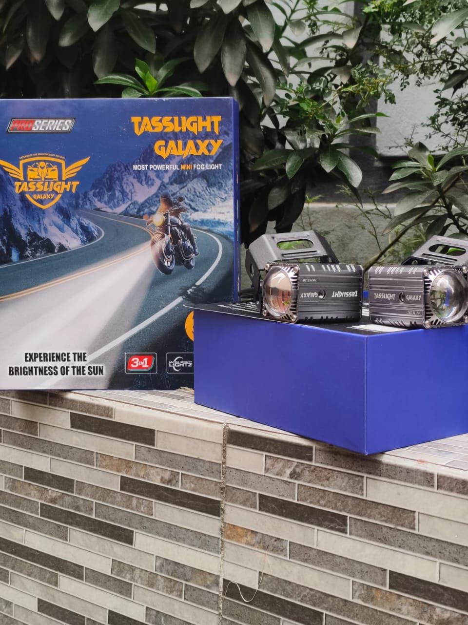 Tasslight Galaxy ( Limited Edition) - Image 4